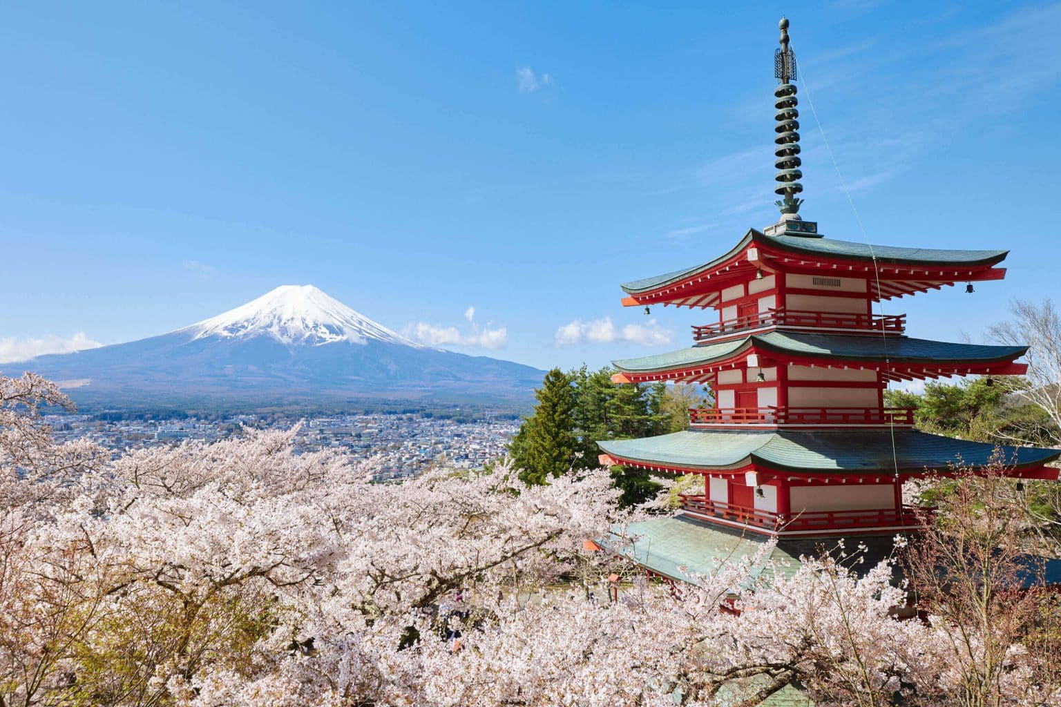 Home - Finland-Japan Chamber of Commerce